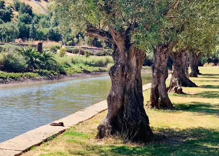 Casa Da Se Apartment